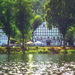 i_kalber1