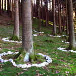 landart11_04