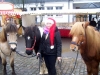 weihnachtsmarkt2013-027