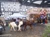 weihnachtsmarkt2013-037