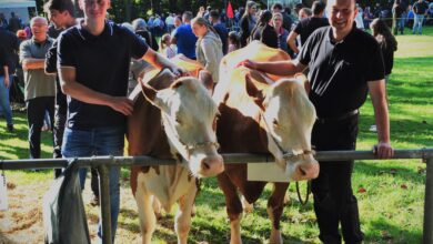 Tierschau in Drolshagen - Michael Alterauge und Sohn.