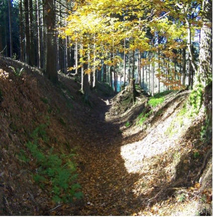 Schlüsen Drolshagen